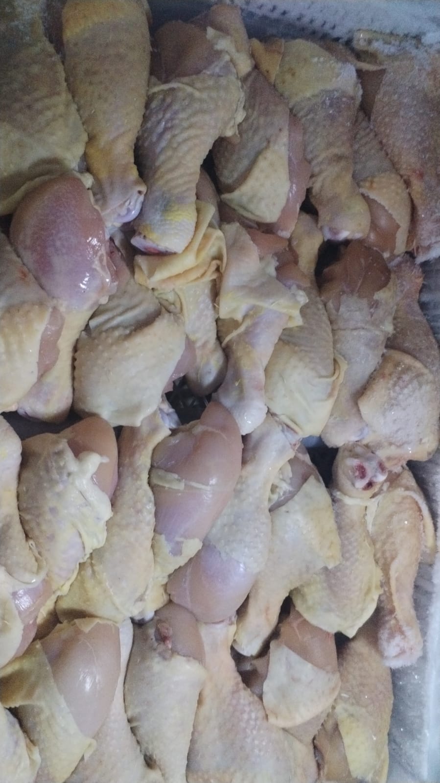 Piernas