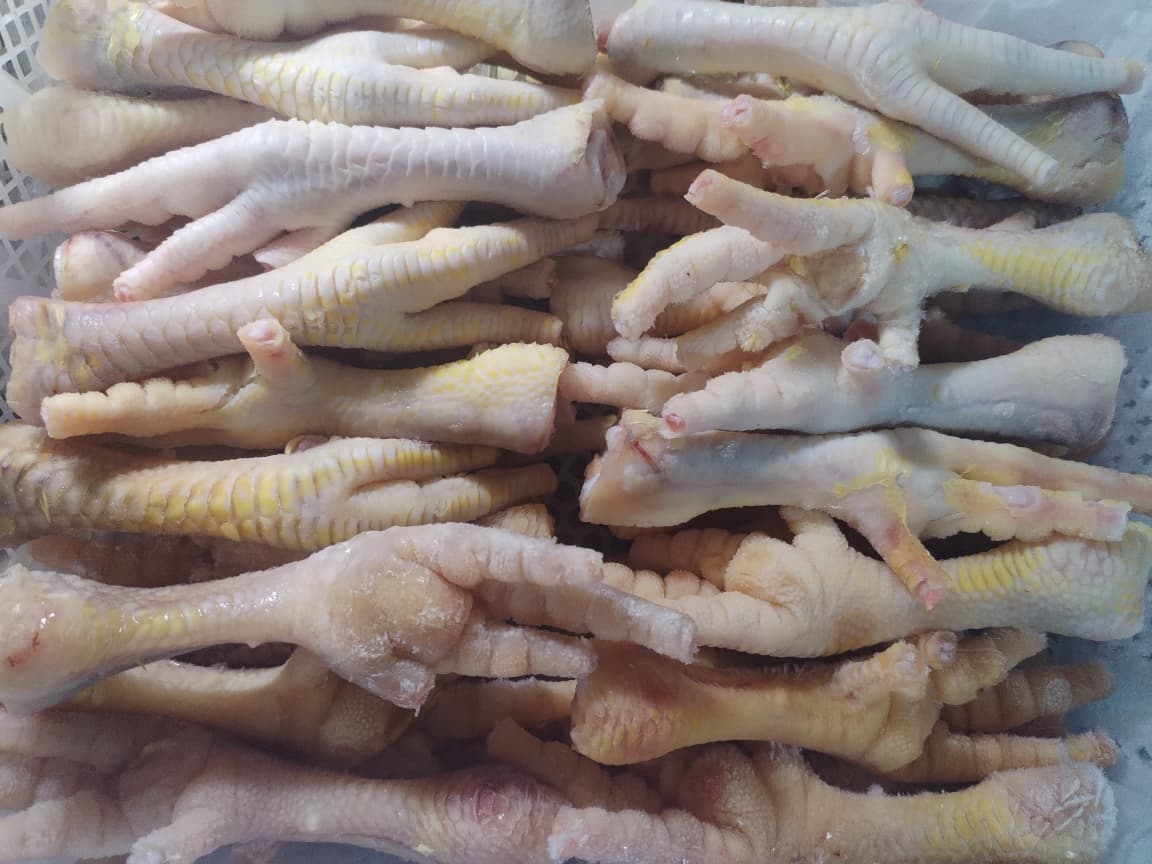 Patitas