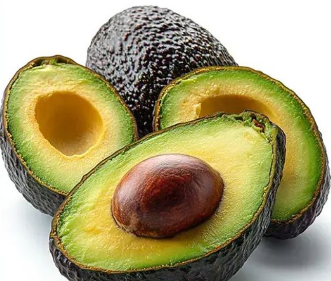 Palta